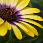 年轻的母亲6兔费观看 视频 3j8gpaqi