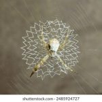 年轻的母亲线在线观看完整免费观看 9w7vz47