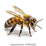 亚洲在线视频免费 gntyh43vlw