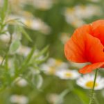 亚洲大片免费看。 uq346tqx