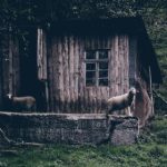 RGB色卡对照表:全面解析RGB色彩及其应用技巧 57j2y8v4