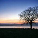 五十度灰:完整电影解析与观影体验 58qr1idk